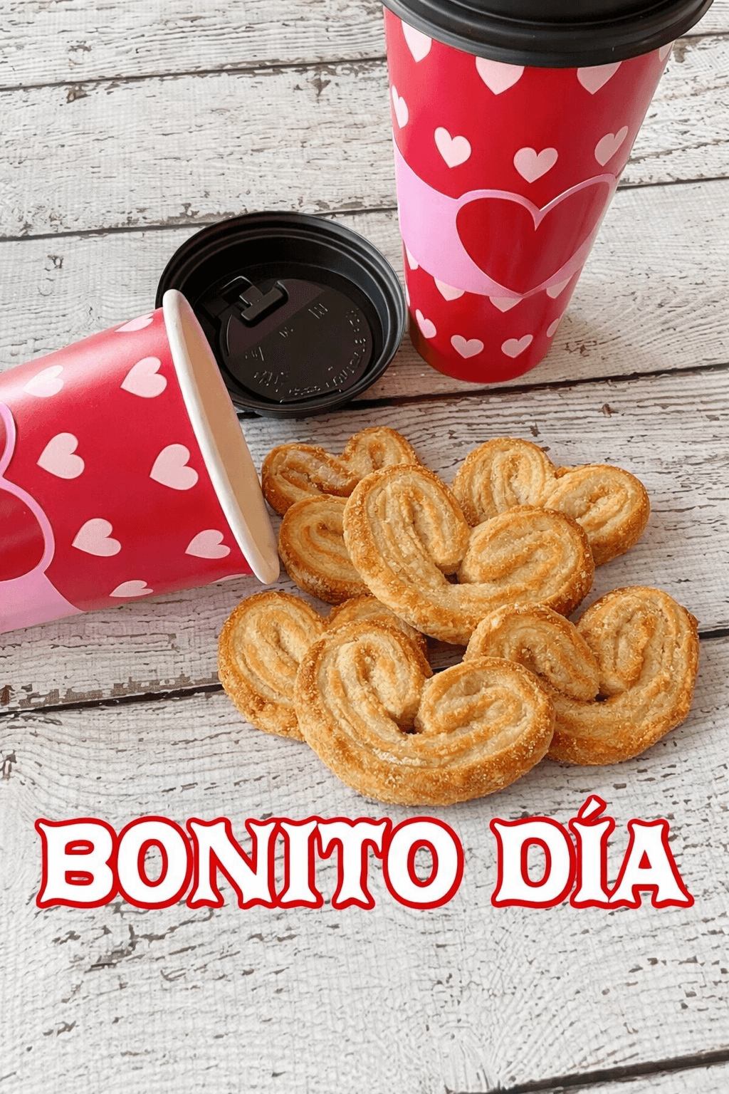 Vaso con palmeritas, vista principal