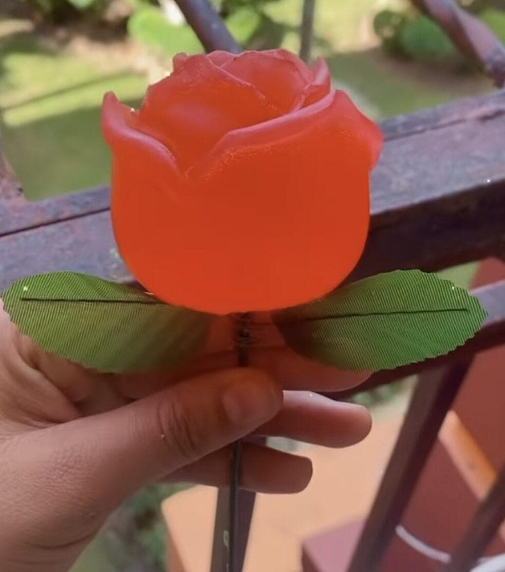 Rosa Jabón organica, vista principal