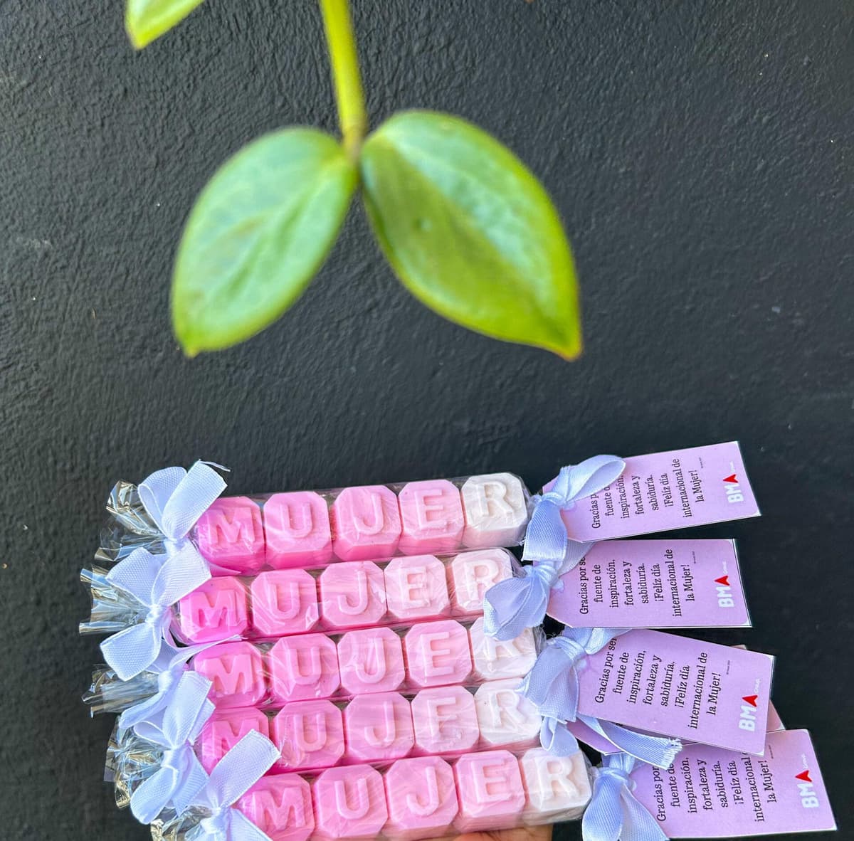 Jabón Pink, vista principal