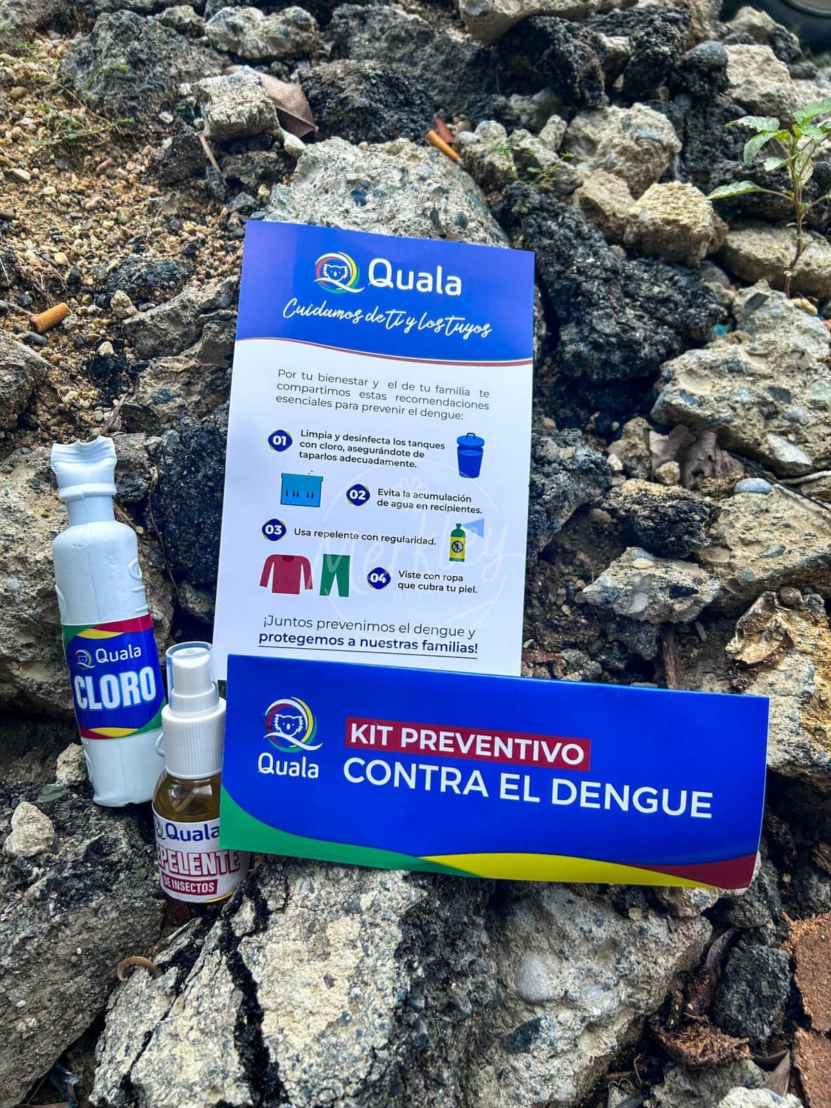 Kit Preventivo Dengue, vista principal