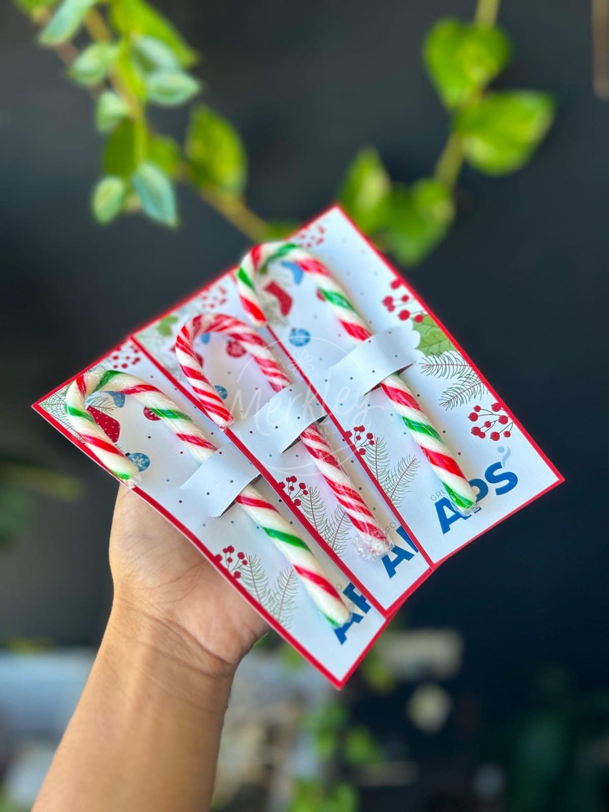 Dulces Navideños, vista principal