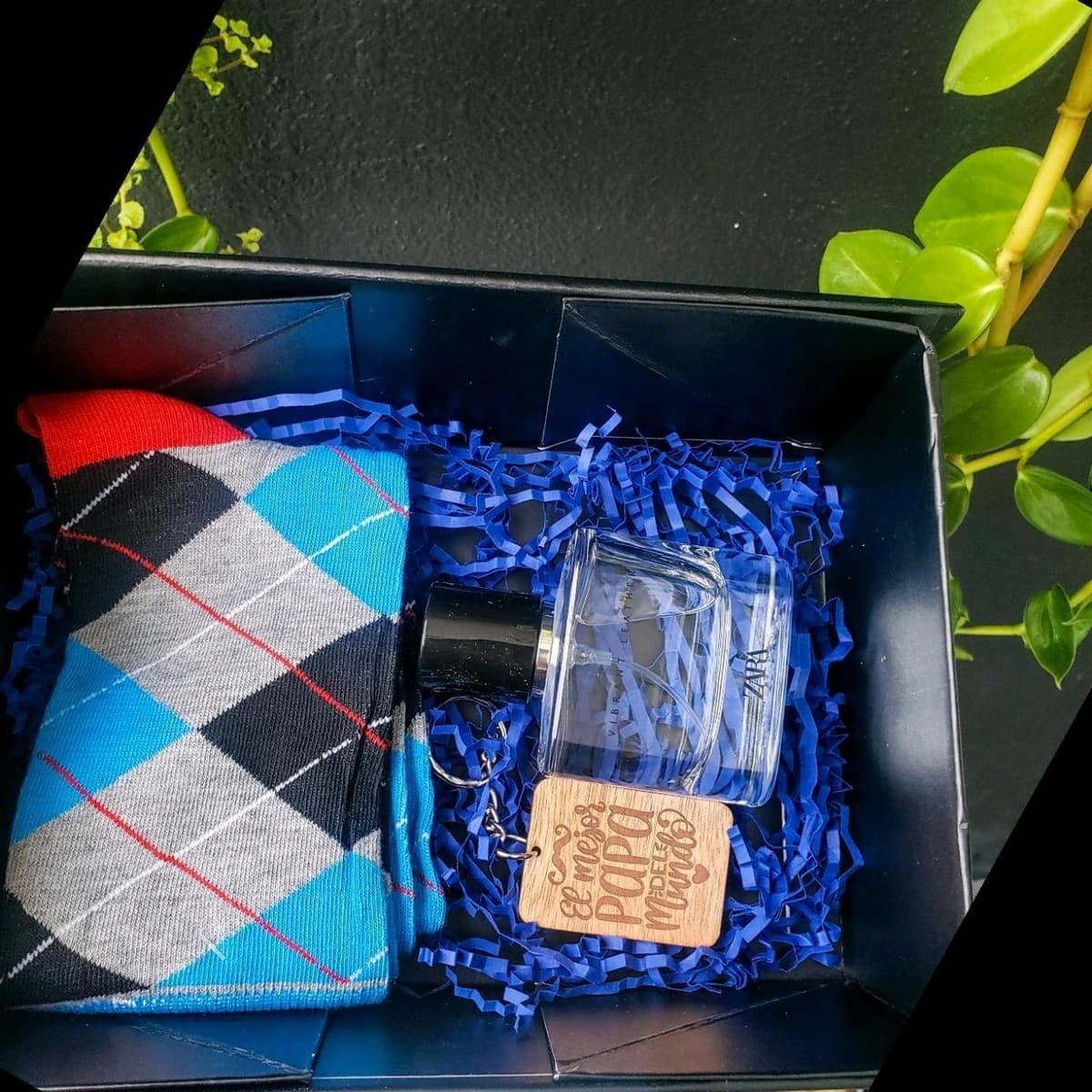 Papá Elegante, vista principal