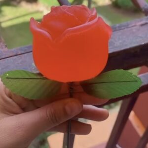 Rosa Jabón organica